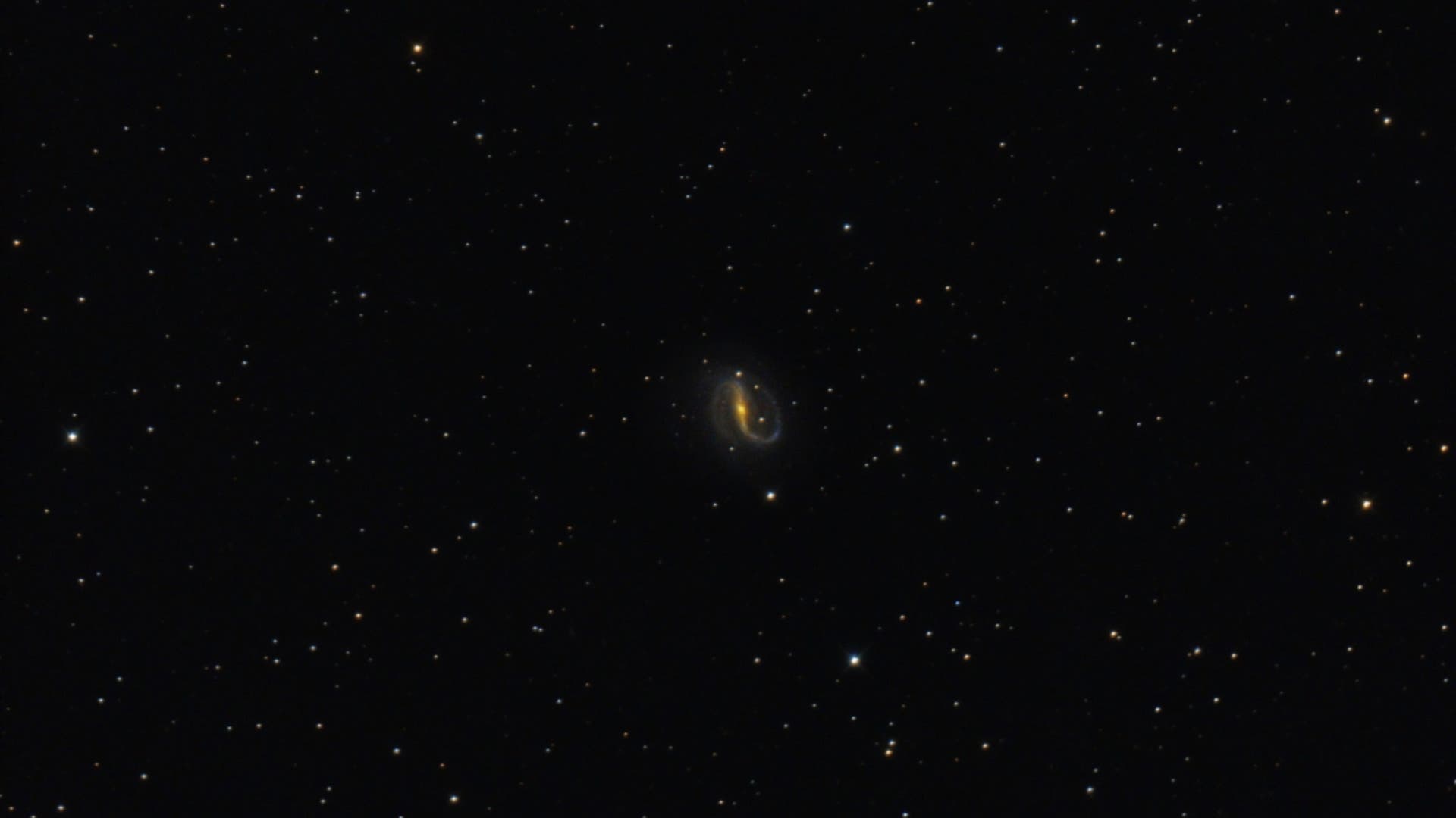 NGC 7479 Spektrum der Wissenschaft